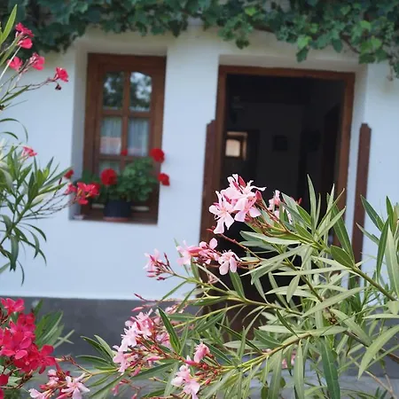 Apartment Cseresznyes Vendeghaz Szomolya