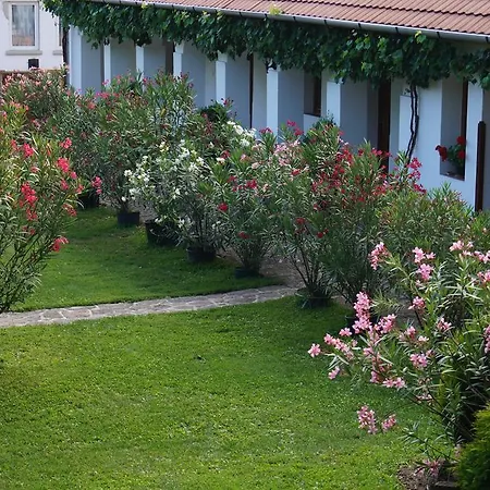 Cseresznyes Vendeghaz